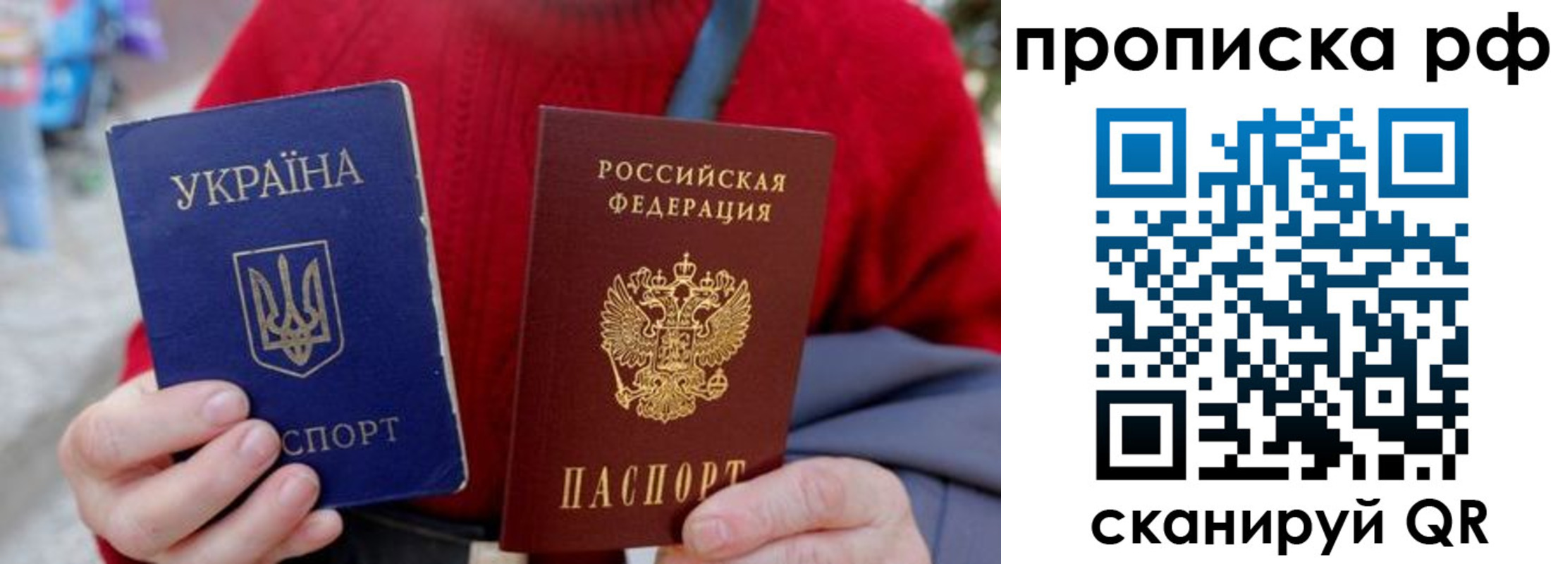 где прописаться в Порхове
