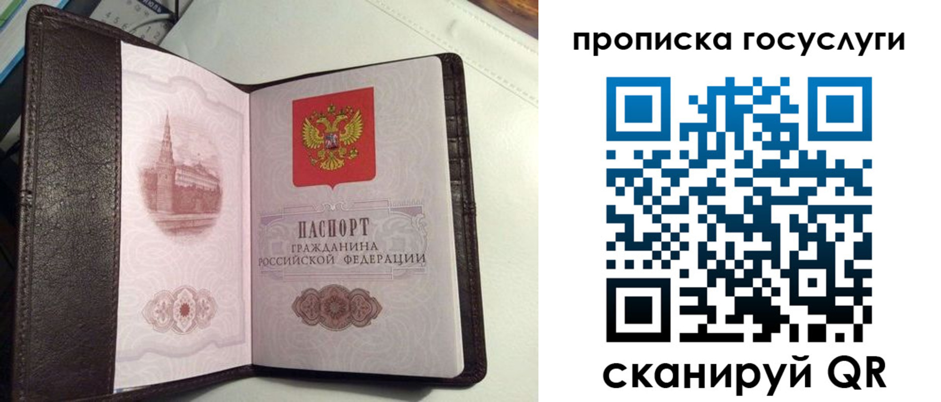 временная прописка в Порхове